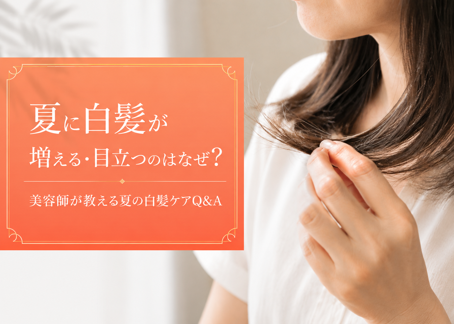夏に白髪が増える・目立つのはなぜ？美容師が教える白髪と夏の頭皮ケアQ&A