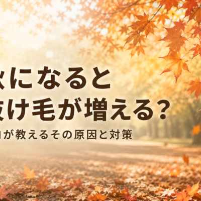 秋になると抜け毛が増える？プロが教えるその原因と対策