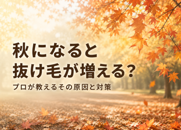 秋になると抜け毛が増える？プロが教えるその原因と対策